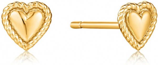 Ania Haie Oorbellen Ropes And Dreams Earrings AH E036 02G Goudkleurig