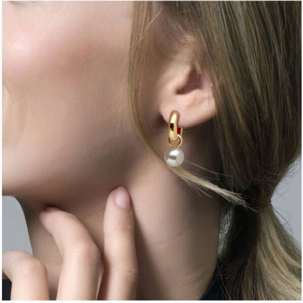 Blush Oorbedels van 14 karaat geelgoud met parel 9023YPW