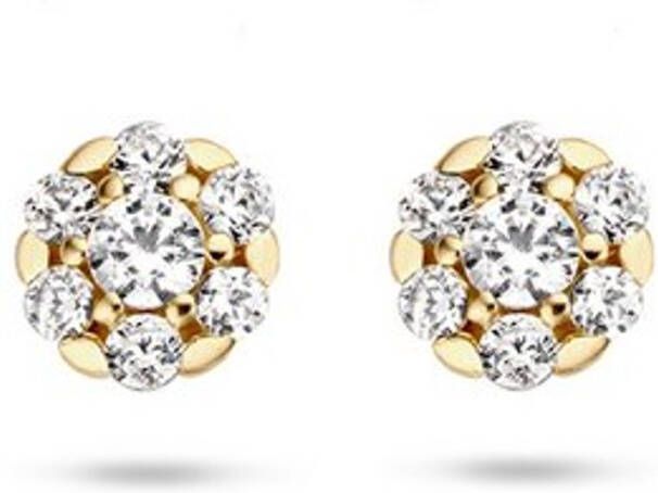 Blush Oorknopjes van 14 karaat geelgoud met zirkonia 7241YZI