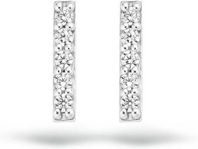 Blush Oorknopjes van 14 karaat witgoud met zirkonia 7196WZI