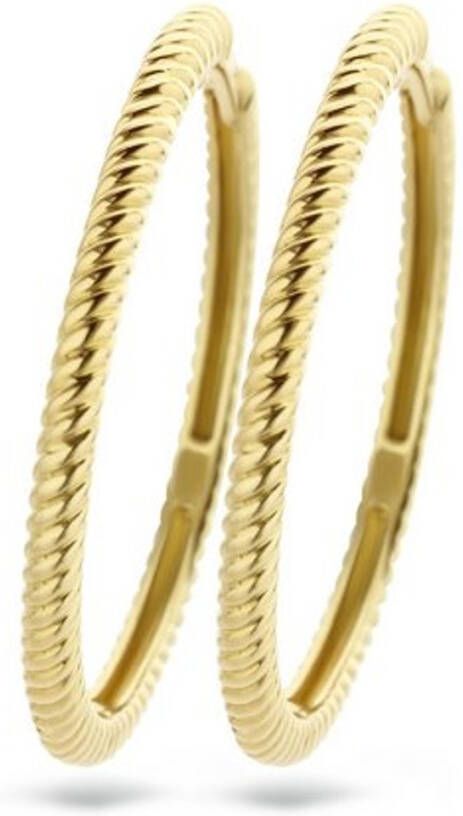 Blush Oorringen van 14 karaat geelgoud 7287YGO