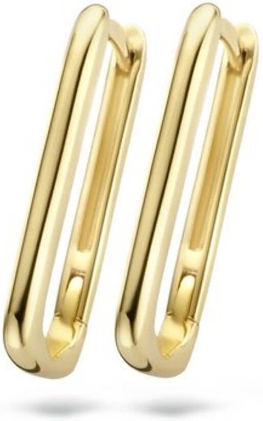 Blush Oorringen van 14 karaat geelgoud 7295YGO