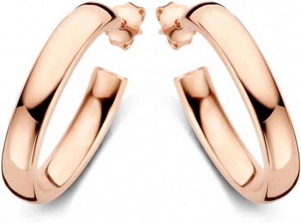 Casa Jewelry Class S oorringen verguld