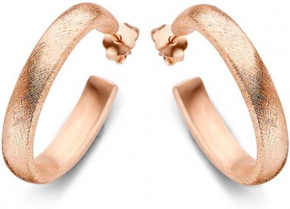 Casa Jewelry Class S Satin oorringen verguld