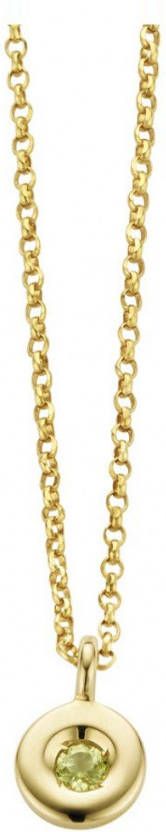 Diamond Point Birthstones gouden hanger Augustus