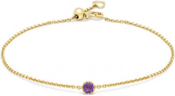 Diamond Point Geelgouden armband, 0 11 ct paarse amethist, Joy