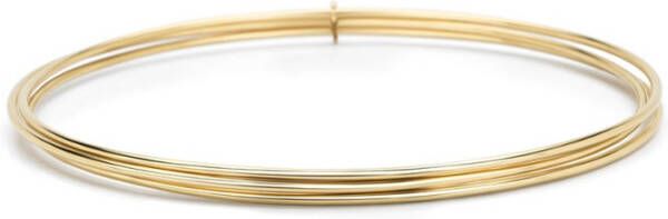 Diamond Point Geelgouden armband Marigold