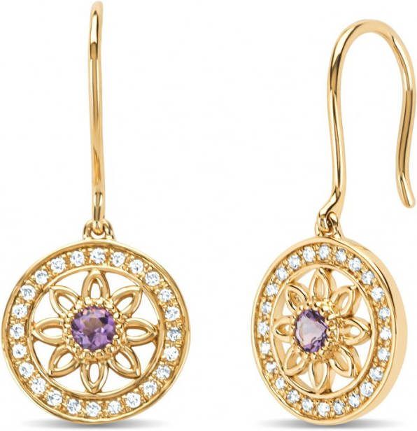 Diamond Point Geelgouden oorsieraden, 0 13 ct amethist, Birthstones