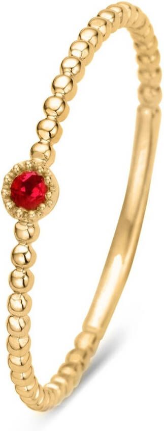 Diamond Point Geelgouden ring 0 04 ct robijn Joy