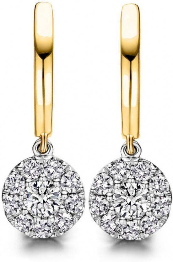 Diamond Point Gouden oorsieraden 0 41 ct diamant Hearts & Arrows