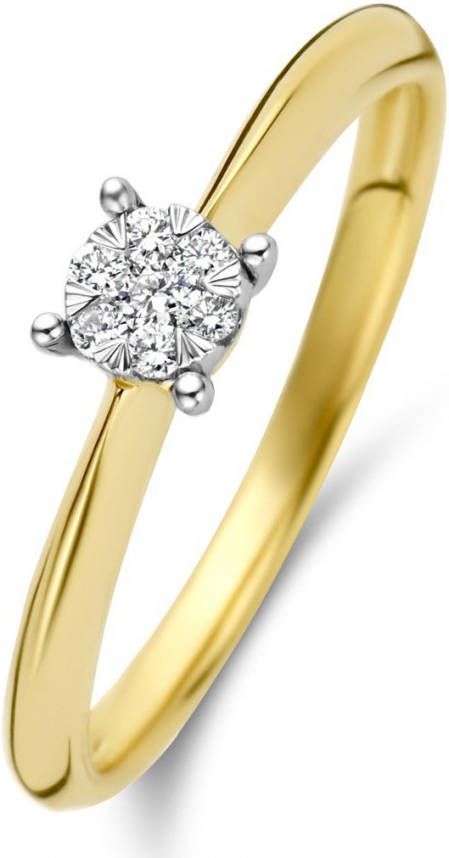 Diamond Point Gouden ring 0 10 ct diamant Enchanted
