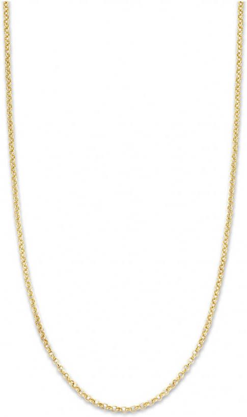 Diamond Point Timeless treasures geelgouden collier(45cm )