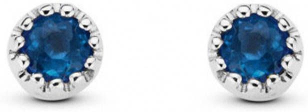 Diamond Point Witgouden oorsieraden 0 10 ct blauwe saffier Joy