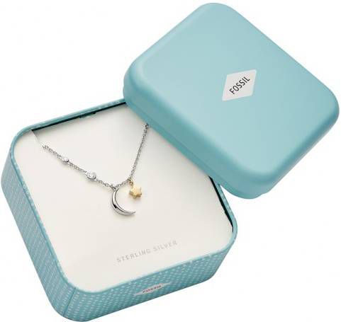 Fossil Ketting Sterling van sterling zilver JFS00432998