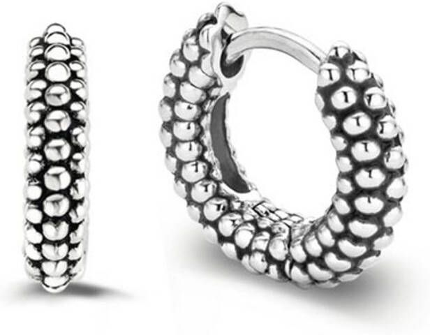 Ti Sento Milano sterling zilveren oorbellen 7210BB