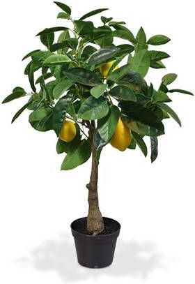 Citroen kunstplant 70cm