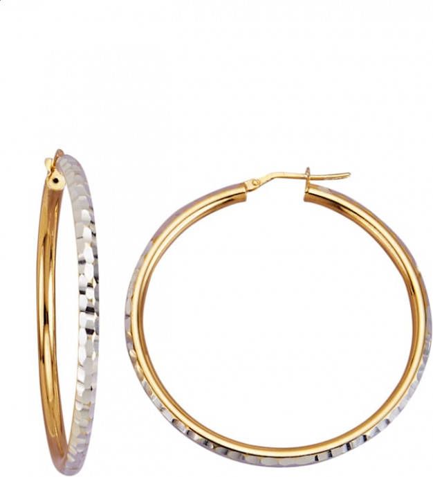 AMY VERMONT Creolen van echt zilver Bicolor