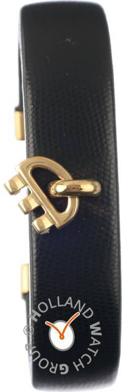 Swatch Irony Lady Strap AYSG119HB YSG119H Queen Of The Night Small Horlogeband