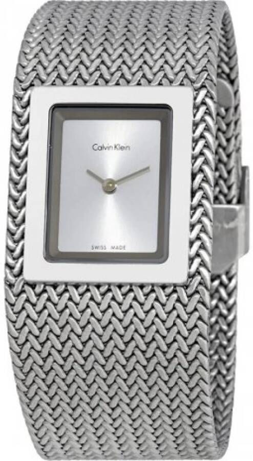 Calvin Klein Horloges Grijs Dames