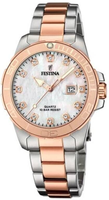 Festina Horloges Bruin Heren