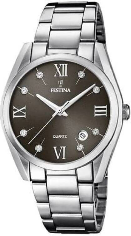 Festina Horloges Grijs Heren