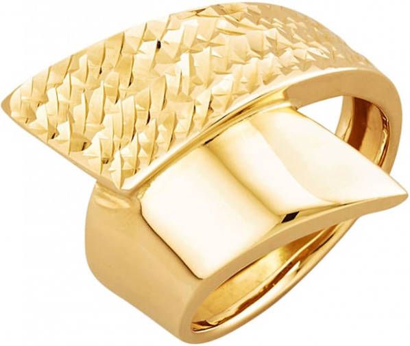 AMY VERMONT Damesring van 9 kt. Geelgoudkleur