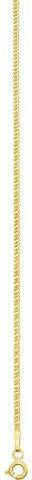 Grazielli Gourmetteketting Geelgoudkleur