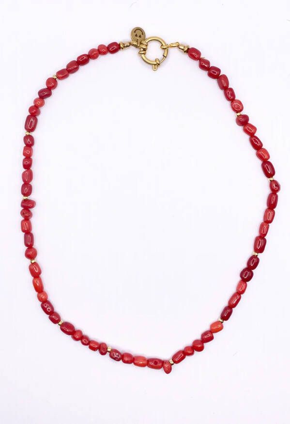 Bonnie studios Tommy boy