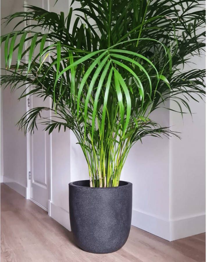 Capi Europe Capi 100% Waste Smooth Bloempot Ø 35 cm Terrazzo grijs