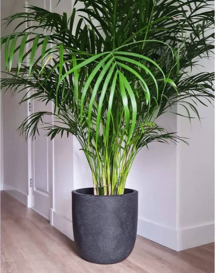 Capi Europe Capi 100% Waste Smooth Bloempot Ø 43 cm Terrazzo grijs