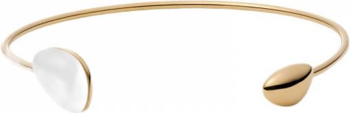 Skagen armband SKJ1549710 Sea Glass goud