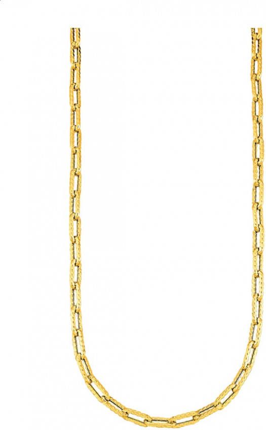 AMY VERMONT Ankerketting van 14 kt. goud Geelgoudkleur