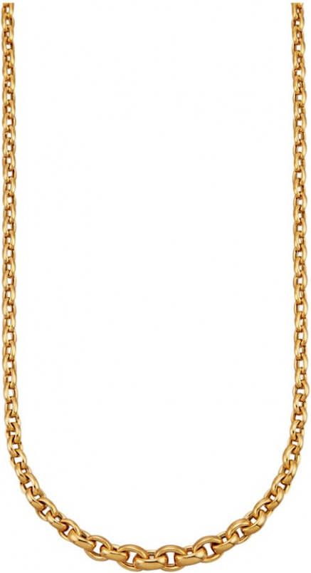 AMY VERMONT Collier 9 kt. Geelgoudkleur