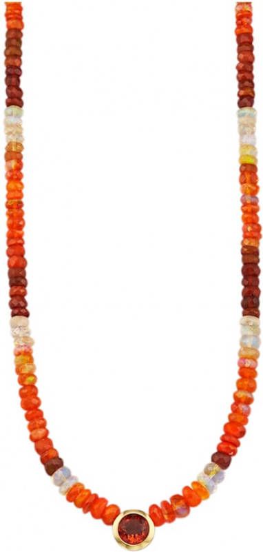 Diemer Farbstein Ketting van 14 kt. goud Rood