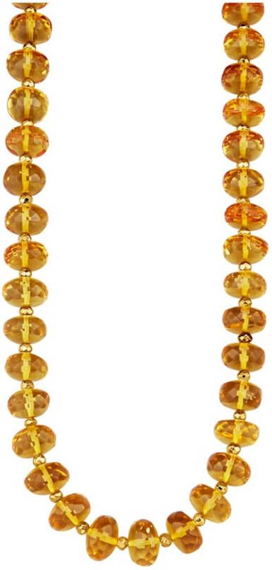 Diemer Farbstein Ketting van geel natuurlijk barnsteen Geel